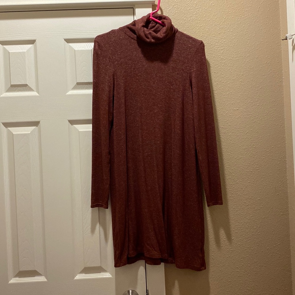 American Eagle long sleeve, turtle neck dress